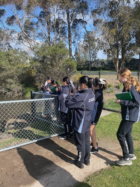 Glen Iris Wetlands 2_600H