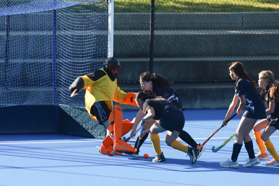 SS_Goalkeeper Save