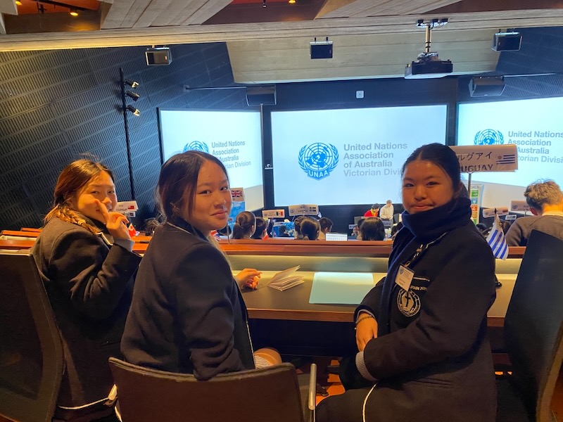 Model UN in chinese pic 6_600H