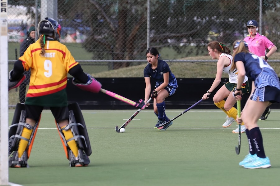 Sport_Charlotte vs Tasmania Hockey article_600H