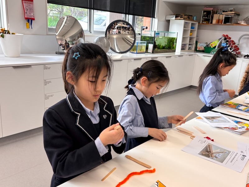 Year 1 Inquiry 5_600H