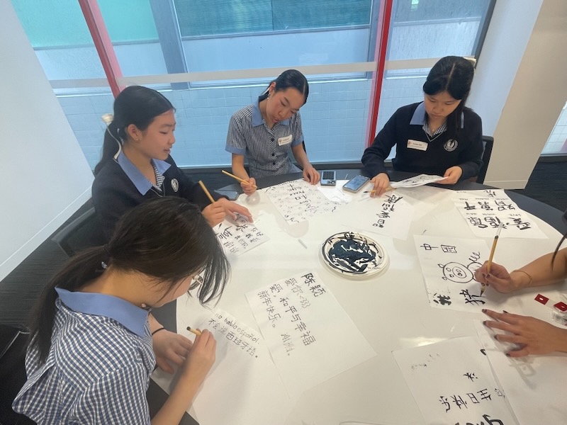 Chinese program photo 3_600H