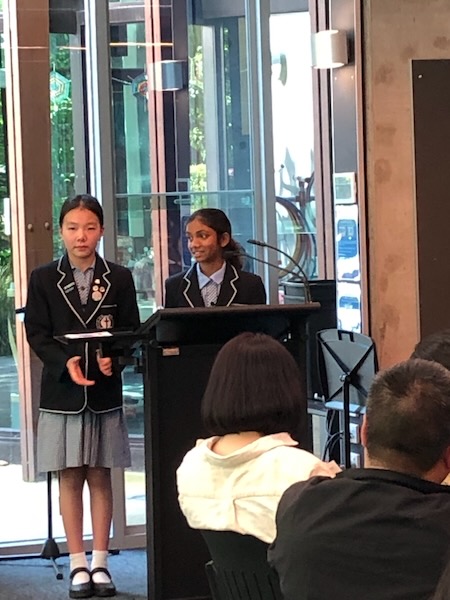 Mountfield_0203_600H