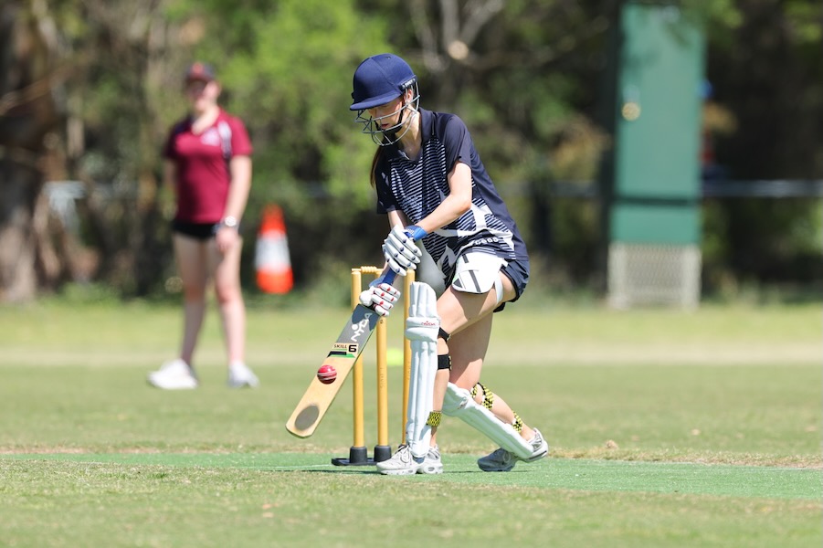 Sport_Zara Daffy Batting_600H