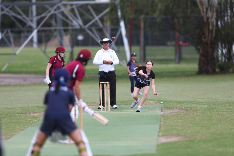 Stephanie M GSV cricket_600H