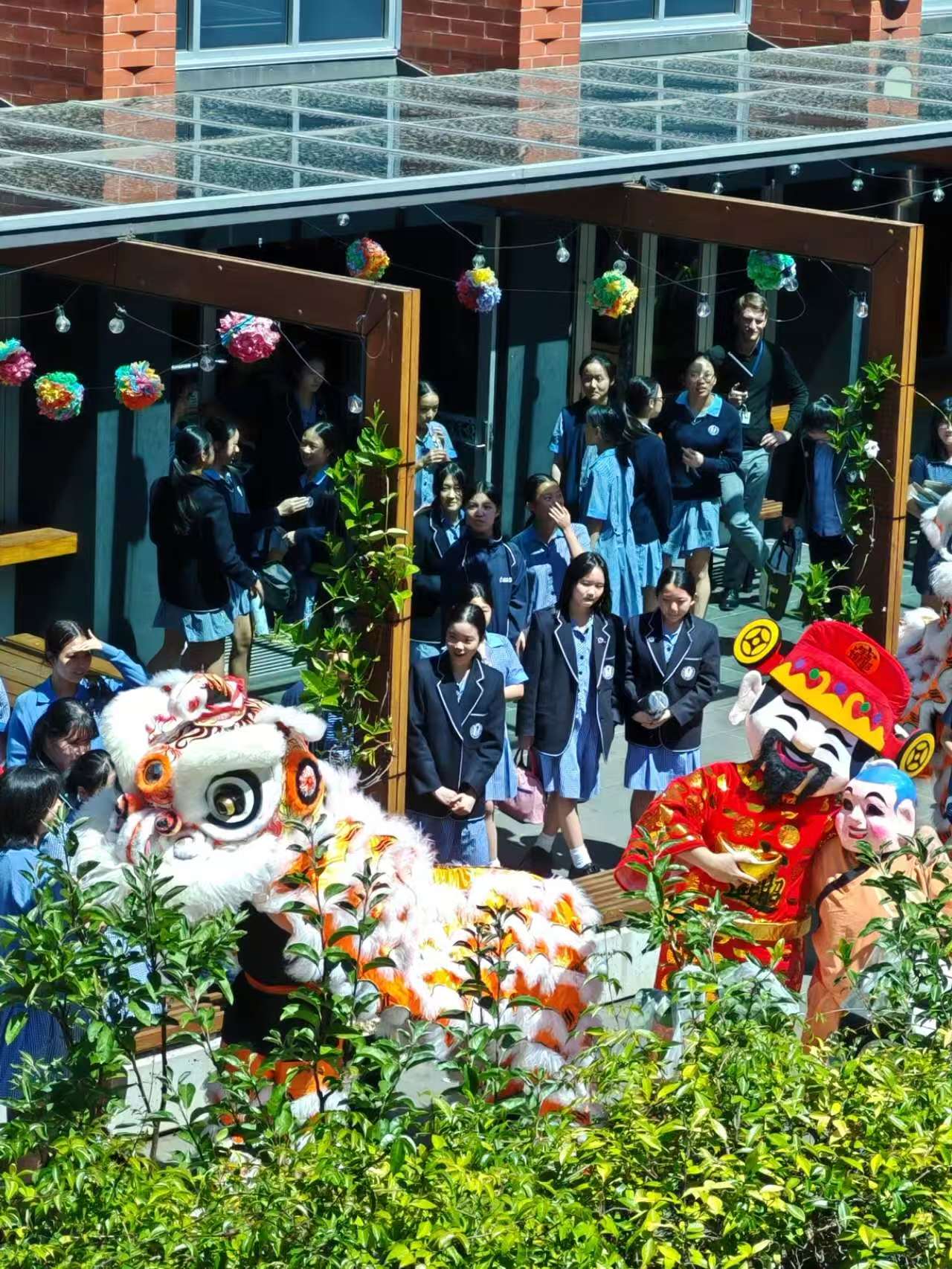 Lion Dance photo 3