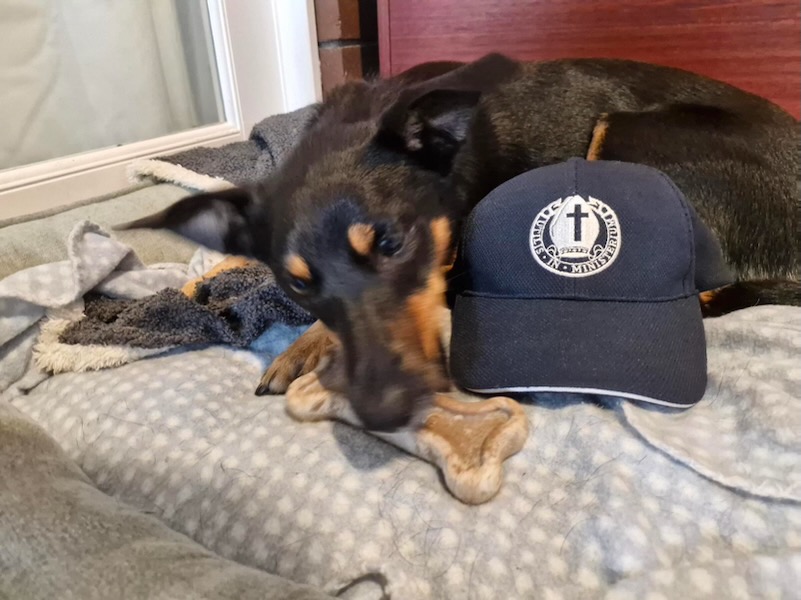 SthMelbMkt photo 5 Kosi_600H