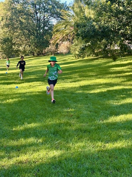 Cross Country 1_600H