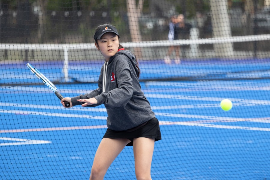 GSV Tennis photo 3_600H