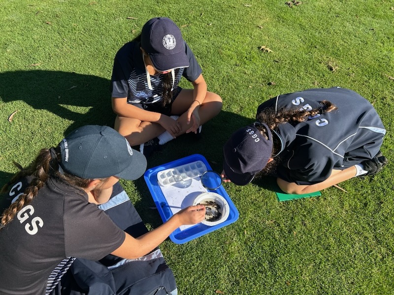 Year 7 excursion photo 1_600H