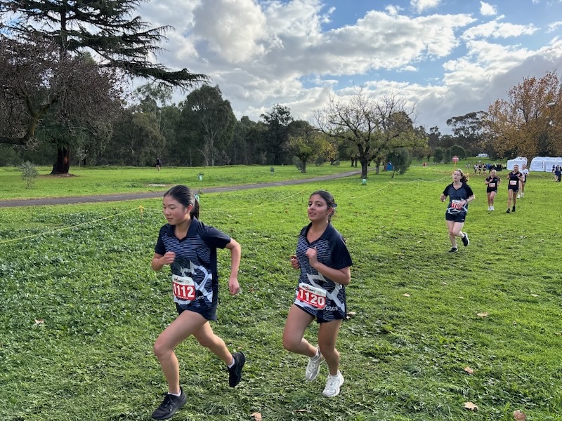 Cross Country photo 2_600H