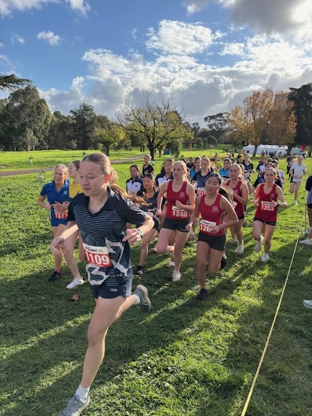 Cross Country photo 5_600H