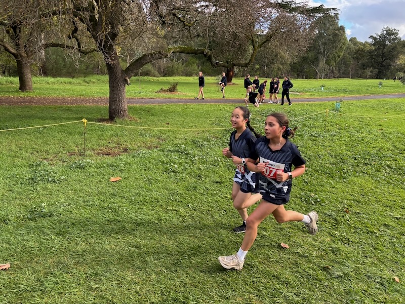CrossCountry photo 1_600H