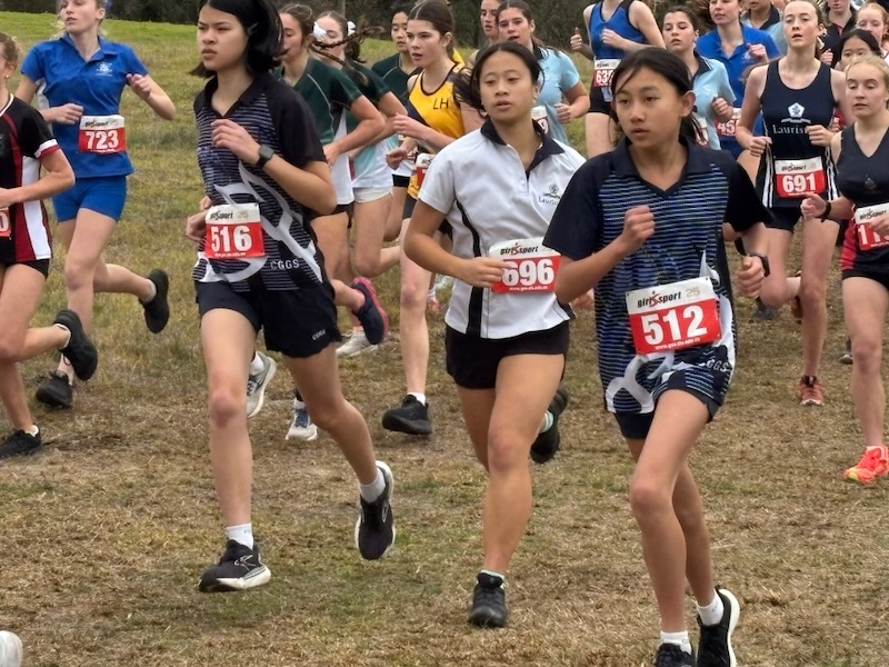 GSV Cross Country photo 1_600H