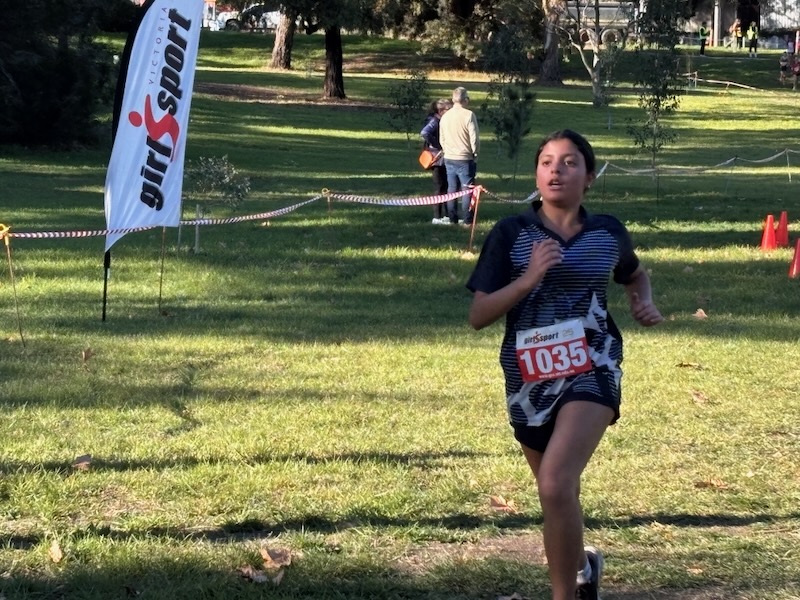 GSV Cross Country photo 2_600H
