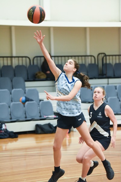 GSV Basketball 1_600H