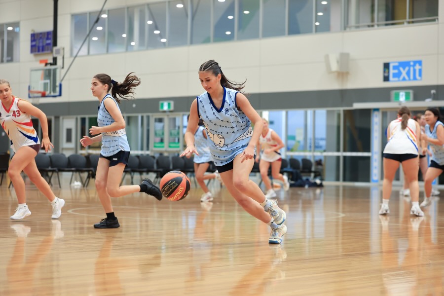 GSV Basketball 2_600H