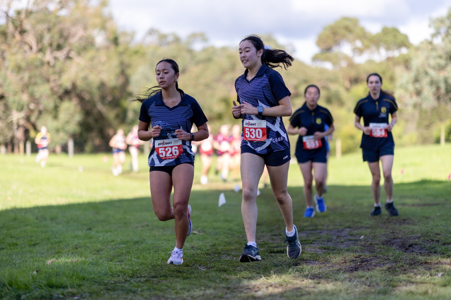 GSV cross country photo 6