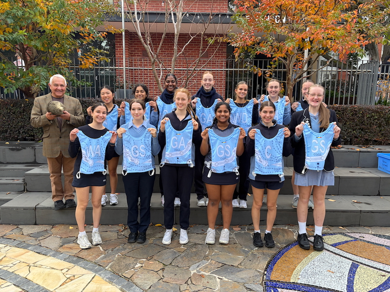 Netball Bib Presentation